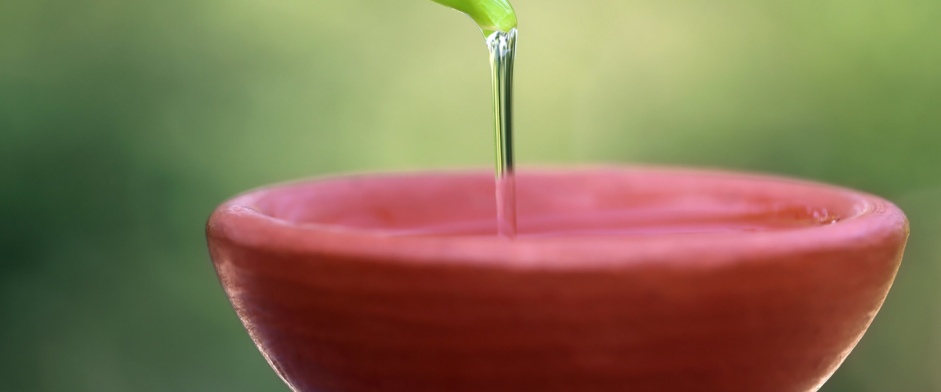 Herbal Supplements for Oral Health
