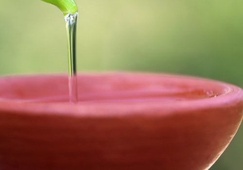 Herbal Supplements for Oral Health